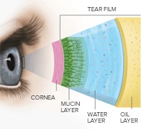 Diagram of Tear Film